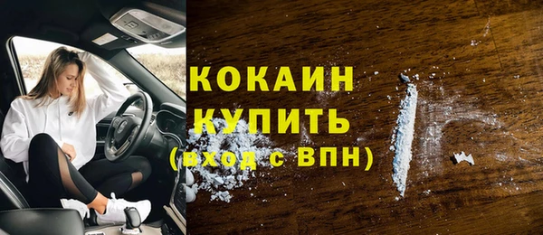 спиды Гусев