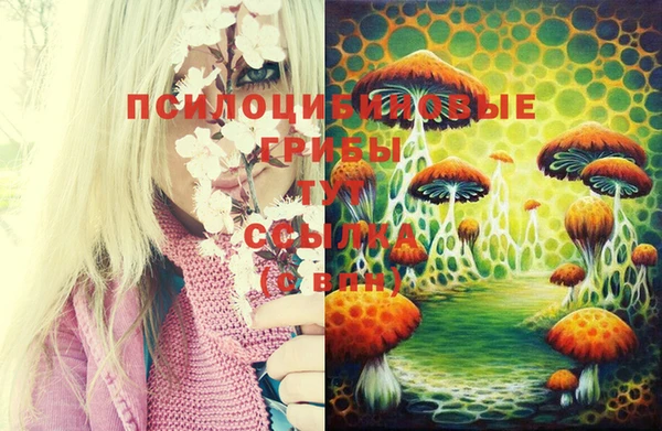 спиды Гусев