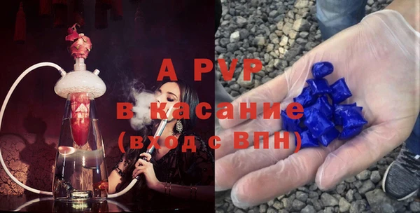 спиды Гусев