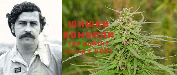 спиды Гусев