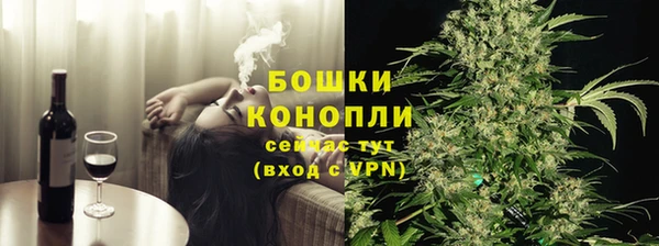 спиды Гусев