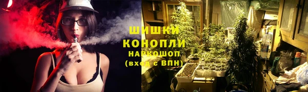 спиды Гусь-Хрустальный