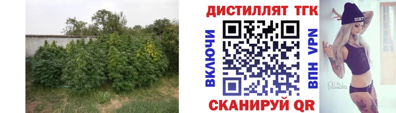 сколько стоит  Нея  Дистиллят ТГК вейп с тгк 